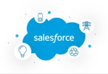 Salesforce CRM cost